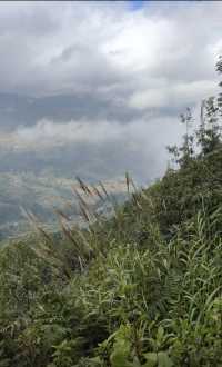 暴走哀牢山 元陽梯田2天1晚週末暴走攻略