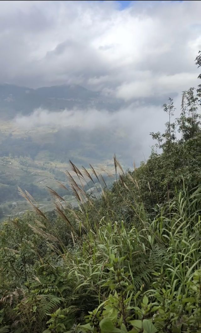 暴走哀牢山 元陽梯田2天1晚週末暴走攻略 暴走哀牢山 元陽梯田2天1晚週末暴走攻略