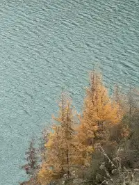 川北綿陽平武賞秋|駛入彩林畫廊