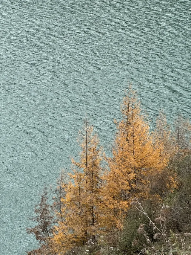 川北綿陽平武賞秋|駛入彩林畫廊 川北綿陽平武賞秋|駛入彩林畫廊