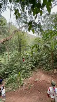 春節版納普洱行