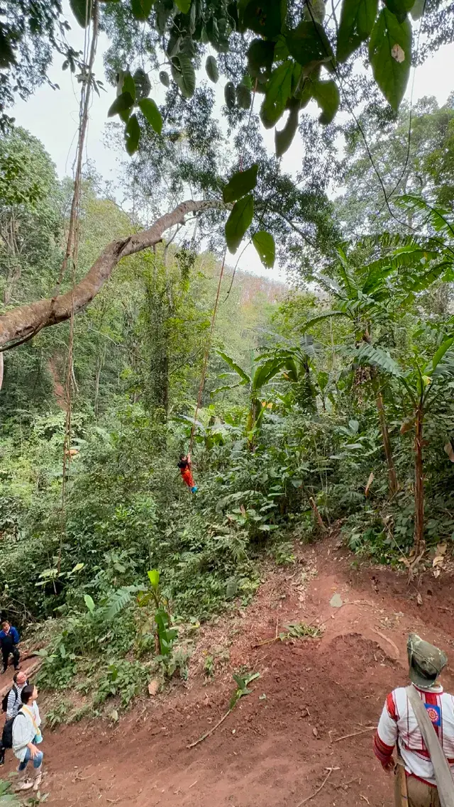 春節版納普洱行 春節版納普洱行