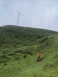 逃離城市計劃盤州烏蒙大草原自駕遊太治癒了！ 從鋼筋森林到遼闊草原，在攜程下單包車直接衝往烏蒙大草