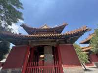 三孔 孔子博深度拼團講解|解鎖文化乾貨!