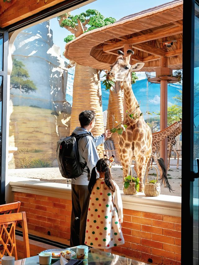 本地人親測,這裡就是泉州遛娃天花板 本地人親測,這裡就是泉州遛娃天花板