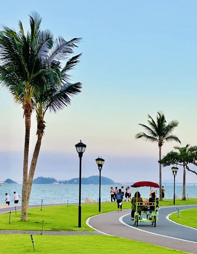 帶爸媽必收藏！寧波出發3h直達暖冬勝地