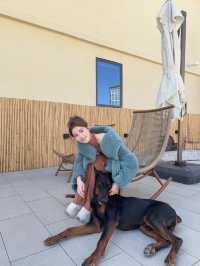 晴空下的香格里拉漫步-還有可以騎