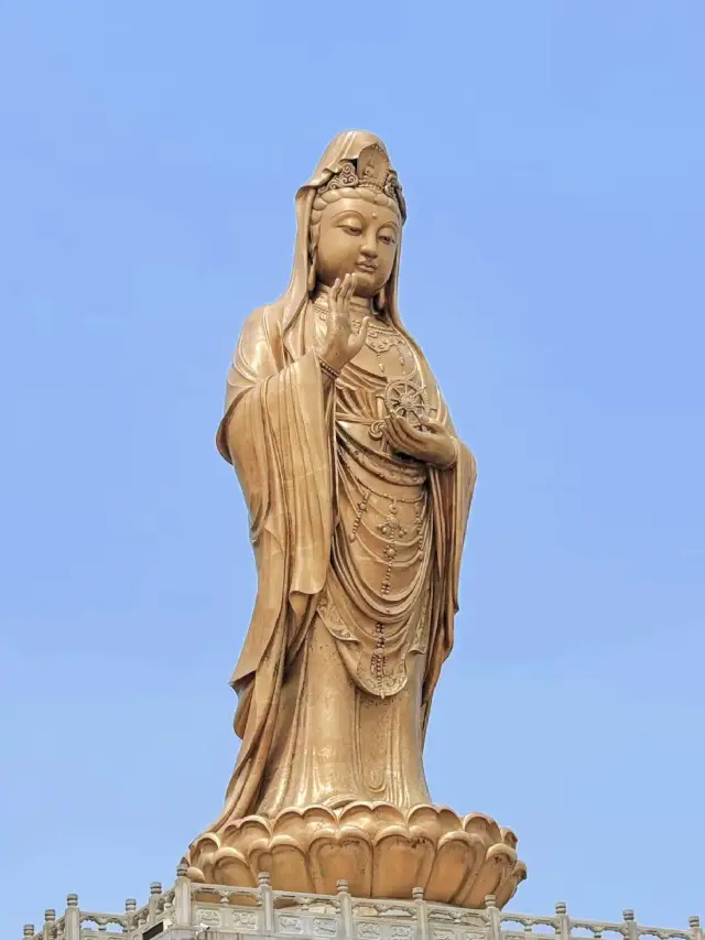 寧波舟山一日遊全攻略！吃玩拍全搞定！！