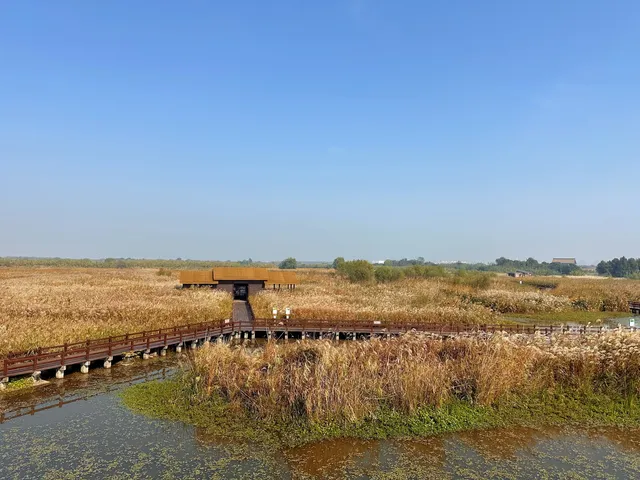 杭州灣濕地公園——承包我對秋冬的所有浪漫 杭州灣濕地公園——承包我對秋冬的所有浪漫