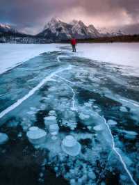 暢玩班夫幽鶴賈斯珀！6人純玩團住雪景木屋