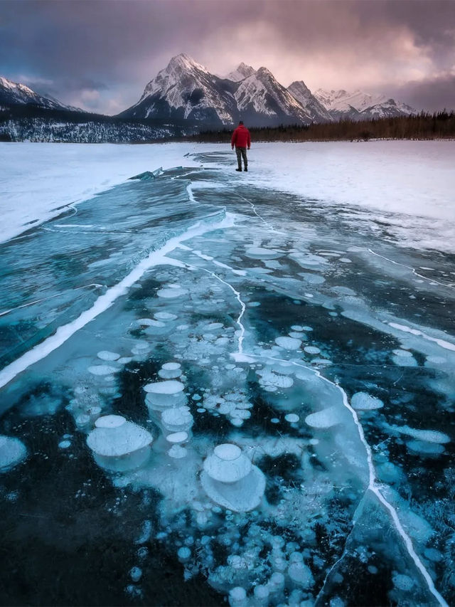 暢玩班夫幽鶴賈斯珀！6人純玩團住雪景木屋