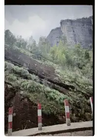 清冷武夷山，最宜岩骨花香漫步
