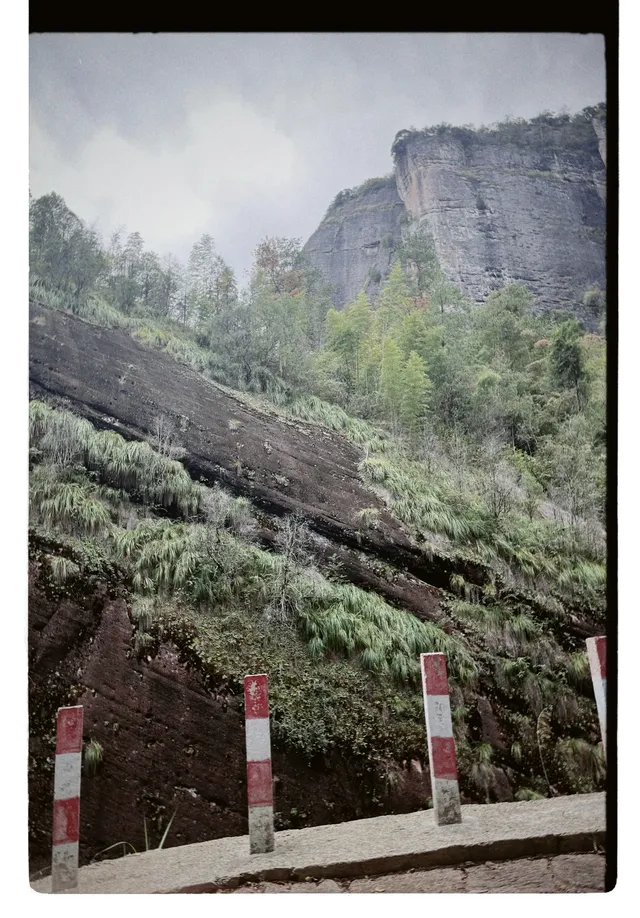 清冷武夷山，最宜岩骨花香漫步
