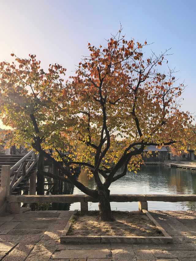 在鹽官,遇見江南最絢爛的深秋 在鹽官,遇見江南最絢爛的深秋