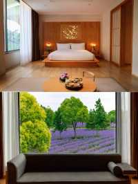 已是寒冬,來百萬石開啟溫暖度假吧