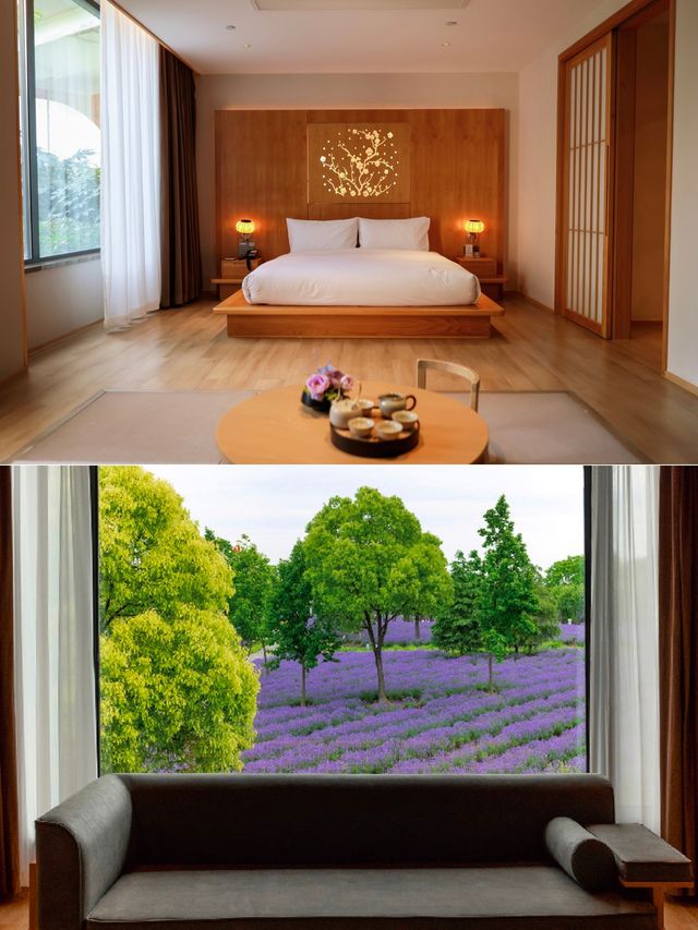 已是寒冬,來百萬石開啟溫暖度假吧 已是寒冬,來百萬石開啟溫暖度假吧