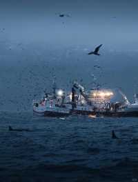 計劃去冰島的趕緊存給P人懶人一點點震撼