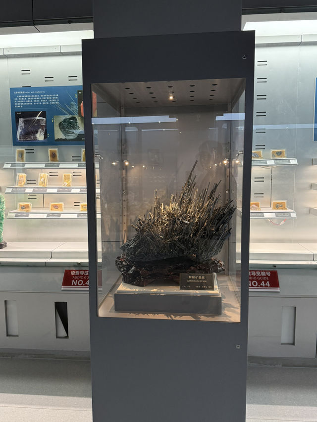 武漢 / 中國地質大學逸夫博物館