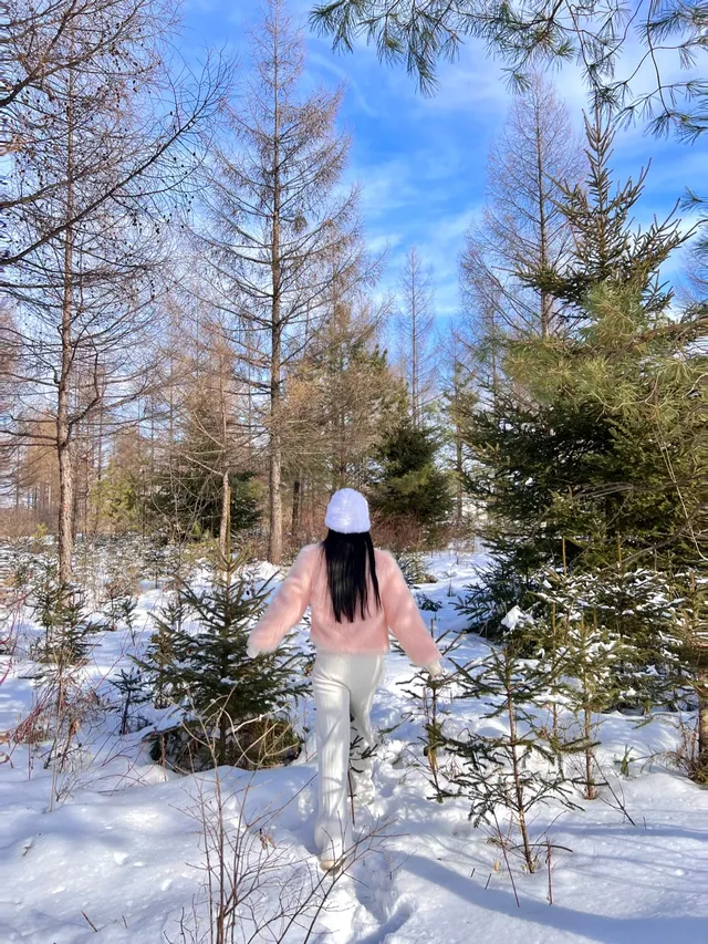 長白山免費拍照勝地|驚艷南方人的冰瀑布 長白山免費拍照勝地|驚艷南方人的冰瀑布