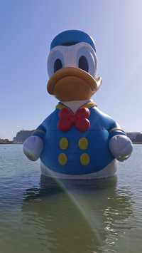 隱匿的星願：在喧騰樂園邊，找到一片濕地