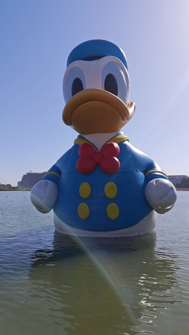 隱匿的星願：在喧騰樂園邊，找到一片濕地