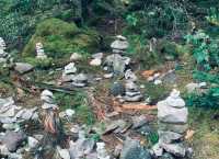 陰雨天賞湖秘境