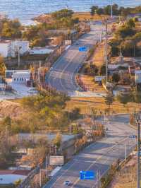 平頂山白龜湖|中原天鵝湖觀鳥指南