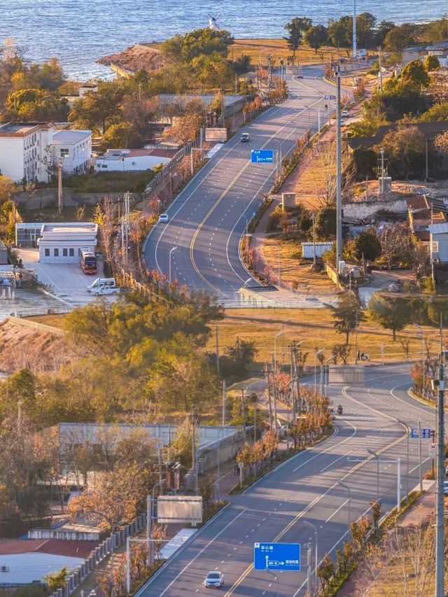 平頂山白龜湖|中原天鵝湖觀鳥指南 平頂山白龜湖|中原天鵝湖觀鳥指南