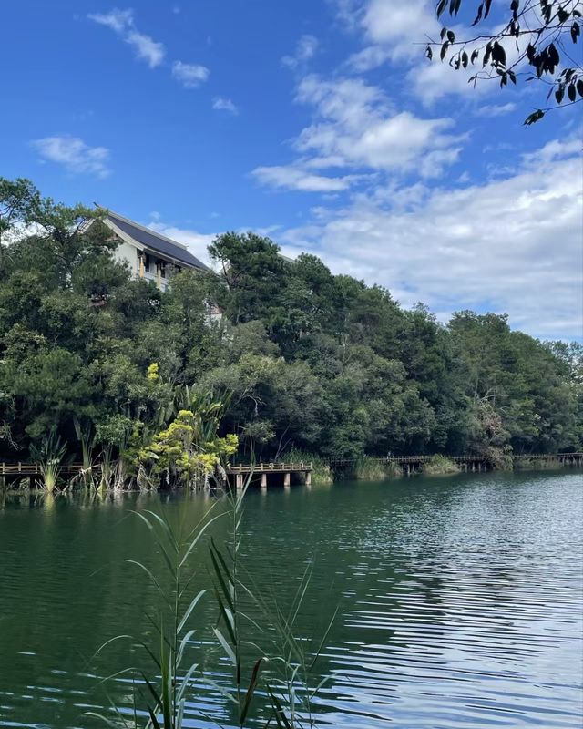 雲南普洱|「梅子湖公園」城市裡的天然氧吧 雲南普洱|「梅子湖公園」城市裡的天然氧吧