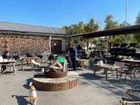 青浦私藏治癒路線！千年銀杏+關公咖啡+柴窯麵包的慢活美學