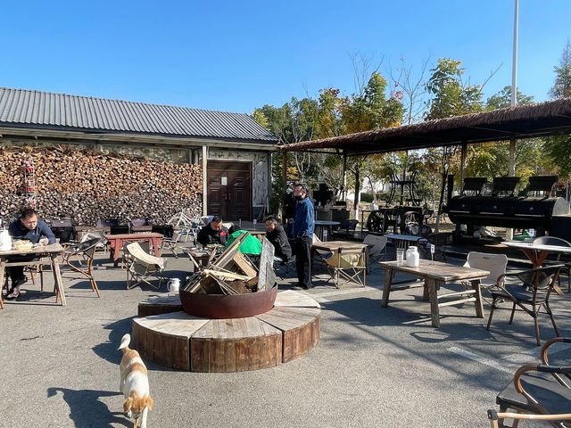 青浦私藏治癒路線！千年銀杏+關公咖啡+柴窯麵包的慢活美學