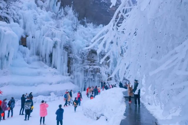 2025年這個冬天和喜歡的人一同來雲台山玩啦！