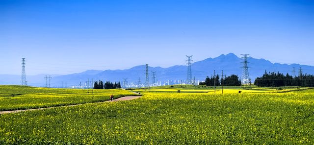 峰叢花田醉我心