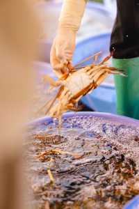 涠洲島|原來好玩好吃的都在淡季~