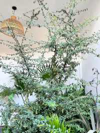 逃離喧囂！麗江這家侘寂風咖啡館美到窒息