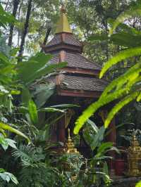 景洪曼聽御花園攻略