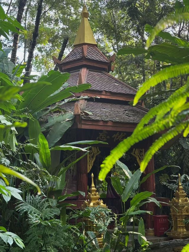 景洪曼聽御花園攻略 景洪曼聽御花園攻略