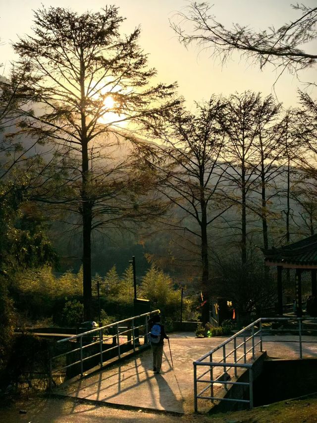 楓葉紅了必打卡地標 楓葉紅了必打卡地標