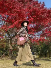 在成都拍到了和蘇州一樣的園林秋景！