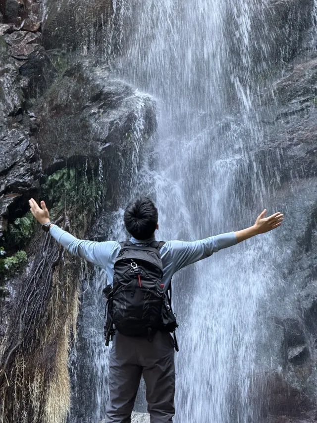 景美人少徒步徑｜梧桐寨+大帽山
