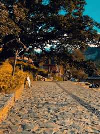 初冬阿者科村遊玩攻略｜藏在梯田深處的非遺古村