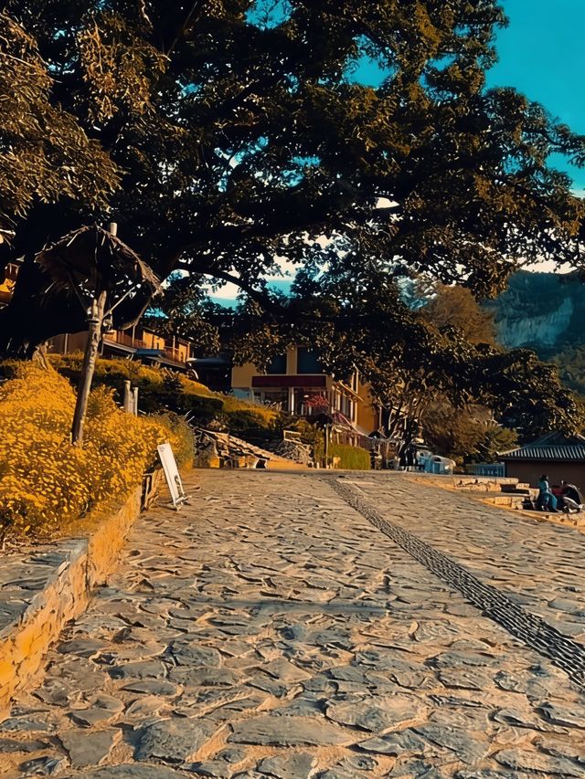 初冬阿者科村遊玩攻略｜藏在梯田深處的非遺古村