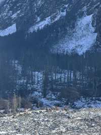 川西絕美理小路一日遊藍冰雪山治癒打工人！