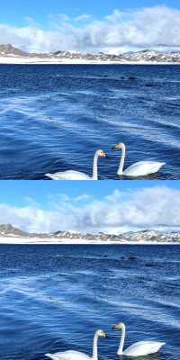 說真的!冬天的賽里木湖才是極致浪漫