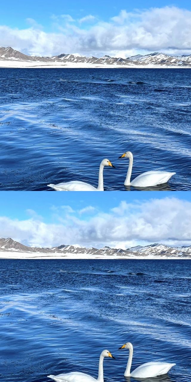 說真的!冬天的賽里木湖才是極致浪漫 說真的!冬天的賽里木湖才是極致浪漫