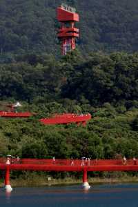 深圳虹橋公園遊玩全攻略!