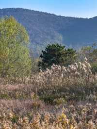 南京這個低調的度假天堂週末避開人潮就衝這