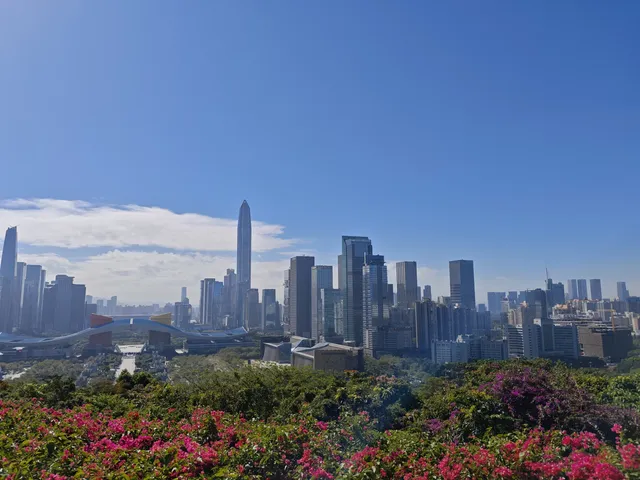 登頂深圳蓮花山：城市綠肺中的登頂之旅