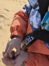 反向帶娃去了中衛才知道！冬天價格真香