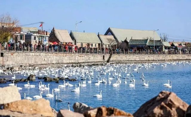 榮成高鐵直達,濱海小城魅力全開 榮成高鐵直達,濱海小城魅力全開